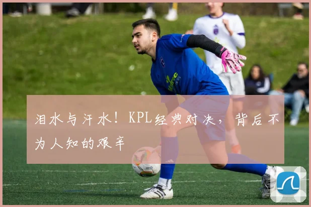 泪水与汗水!KPL经典对决,背后不为人知的艰辛